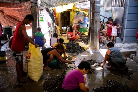 produkto ng navotas|Kabuhayan ng mga magtatahong sa Navotas, nanganganib dahil .